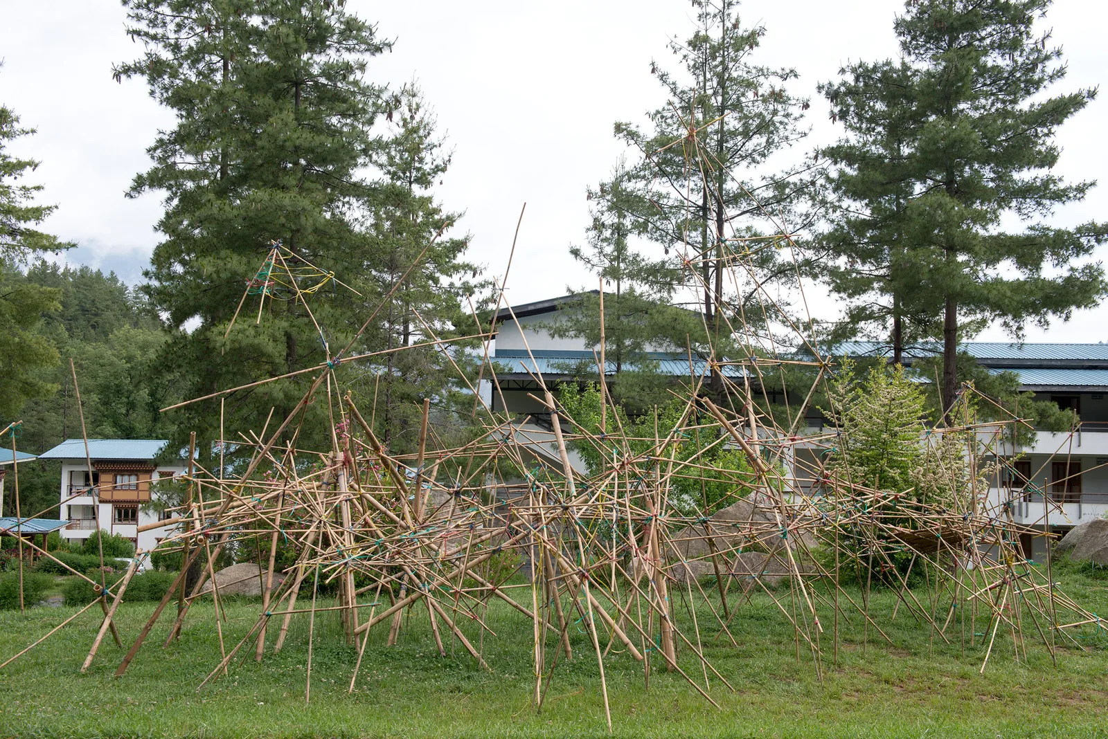 Bamboo III (of V), Royal Thimphu College, Thimphu, Bhutan