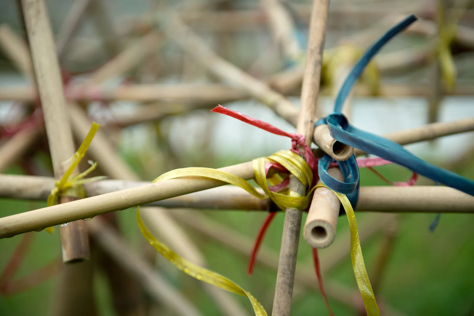 Bamboo III (of V), Royal Thimphu College, Thimphu, Bhutan, view 2