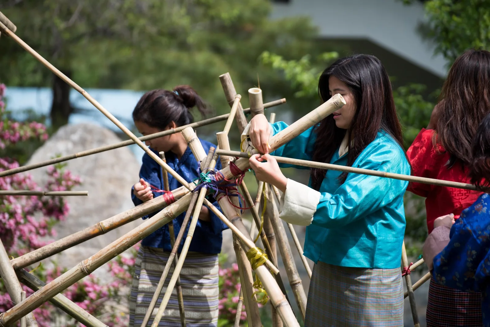 Bamboo III (of V), Royal Thimphu College, Thimphu, Bhutan, view 7