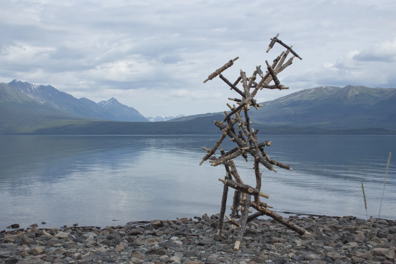 Bear, Lake Clark National Park, Alaska