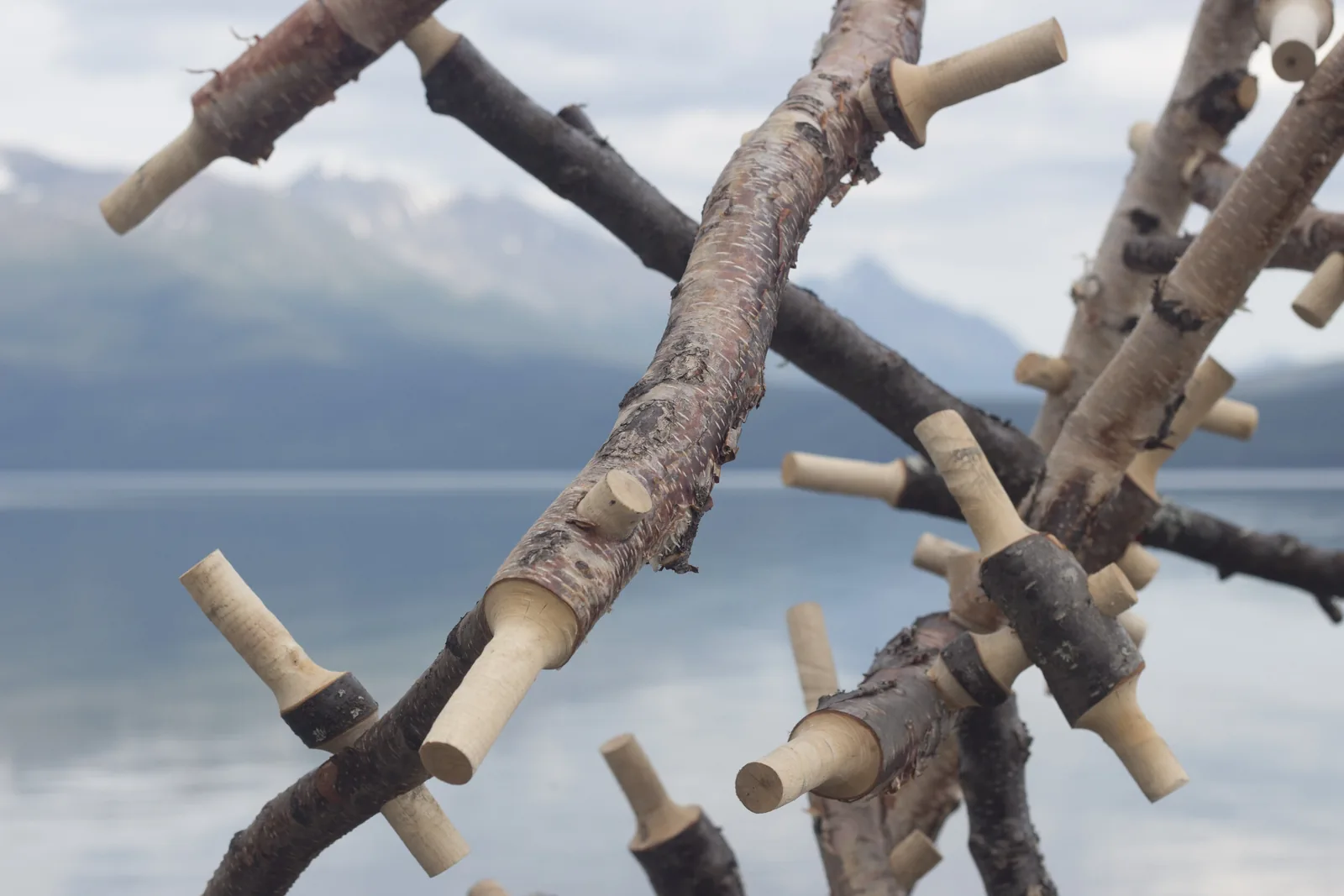 Bear, Lake Clark National Park, Alaska, view 2