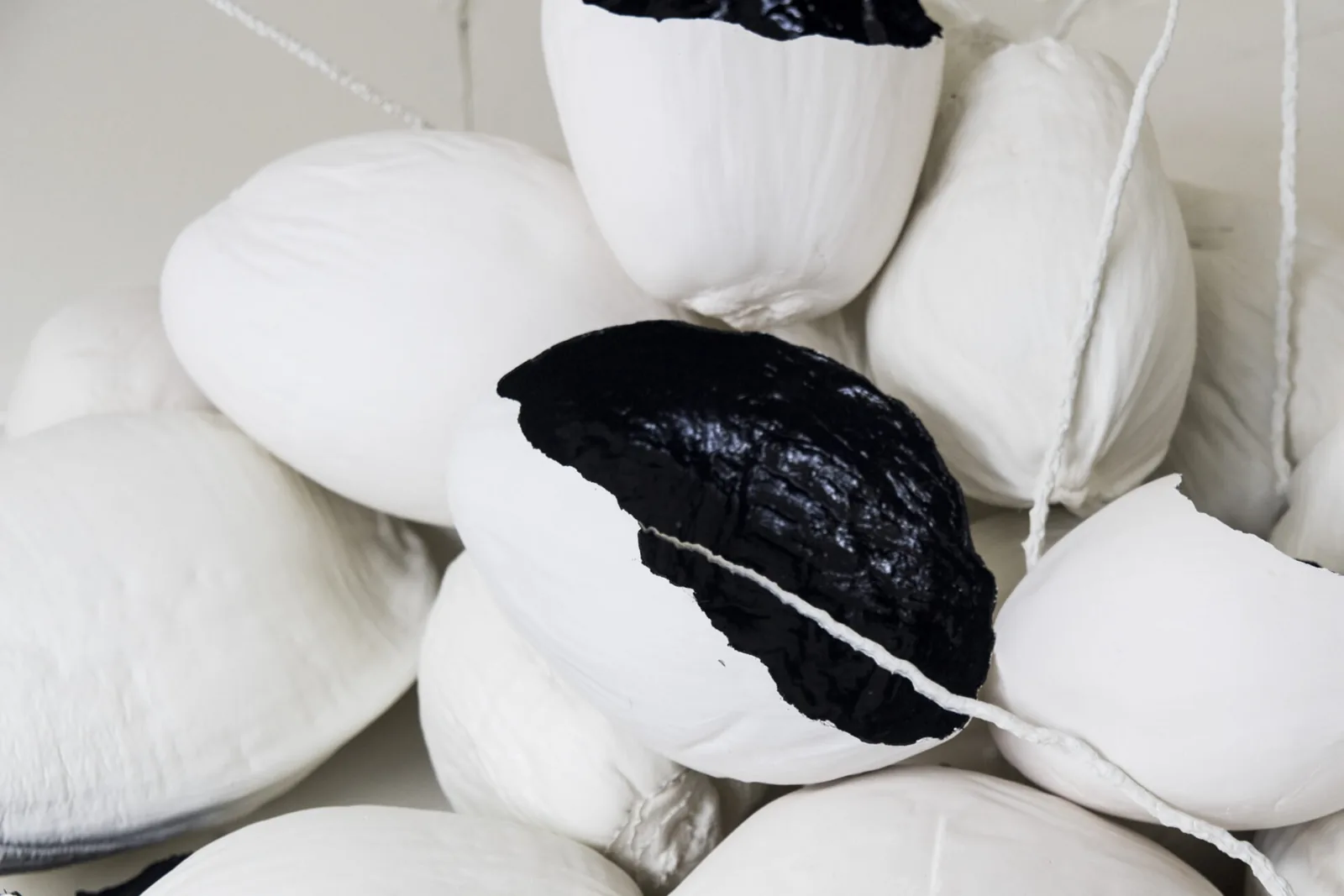 Coconuts (2016), view 2