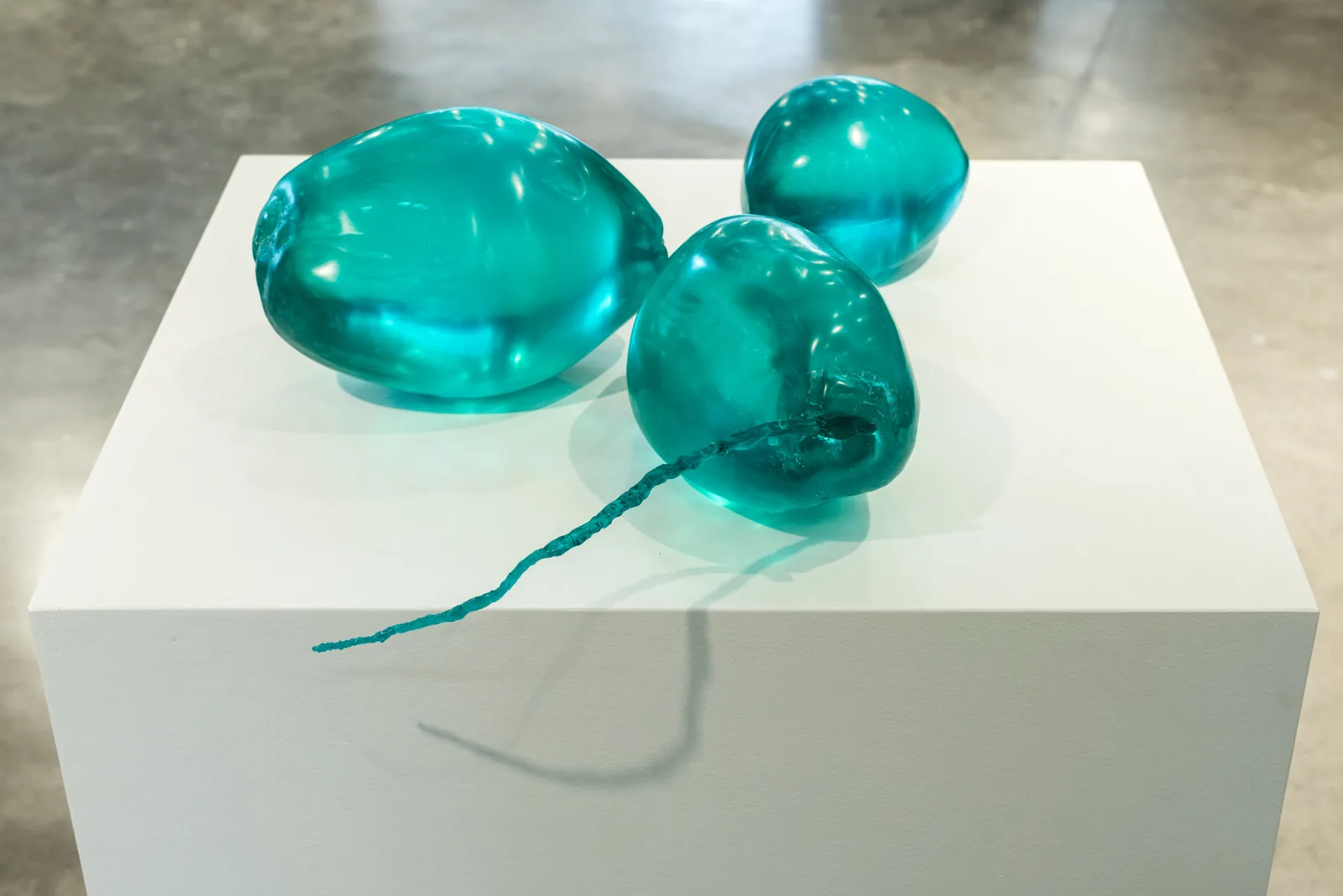 Coconuts (2019), view 2