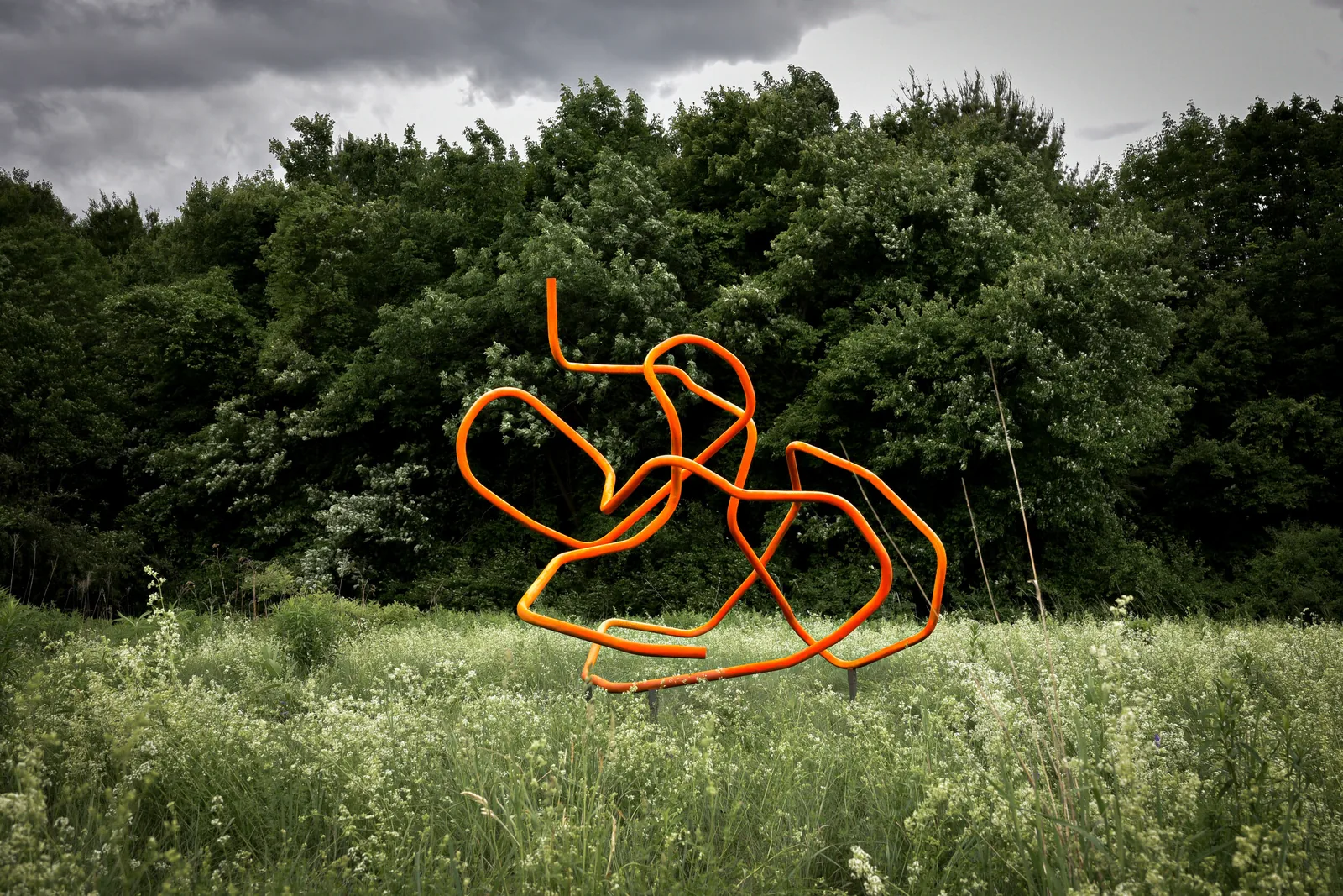 Continuous Line I (tangerine), Art on the Trails, Beals Preserve, Southborough, MA