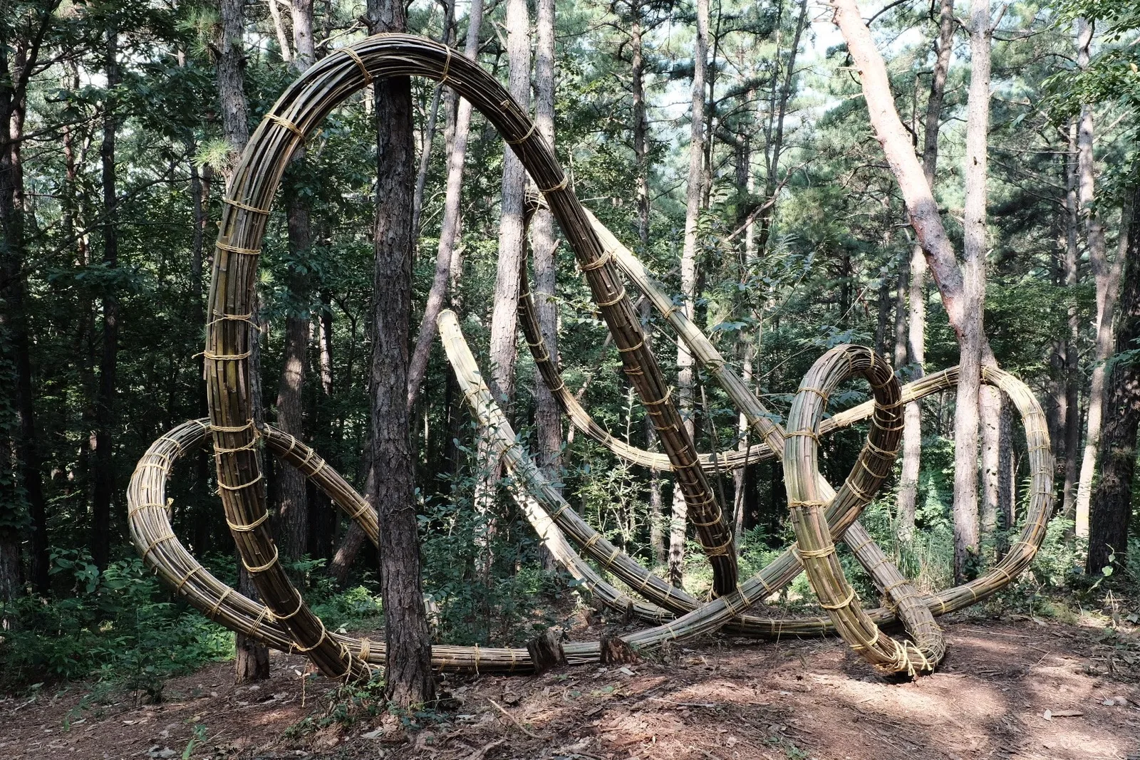 Continuous Line VIII (bamboo), Geumgang Nature Art Biennale, Yeonmisan Art Park, Gongju, South Korea