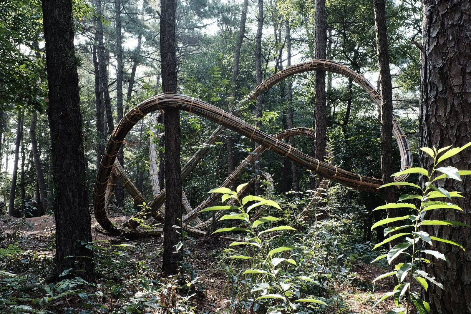 Continuous Line VIII (bamboo), Geumgang Nature Art Biennale, Yeonmisan Art Park, Gongju, South Korea, view 3