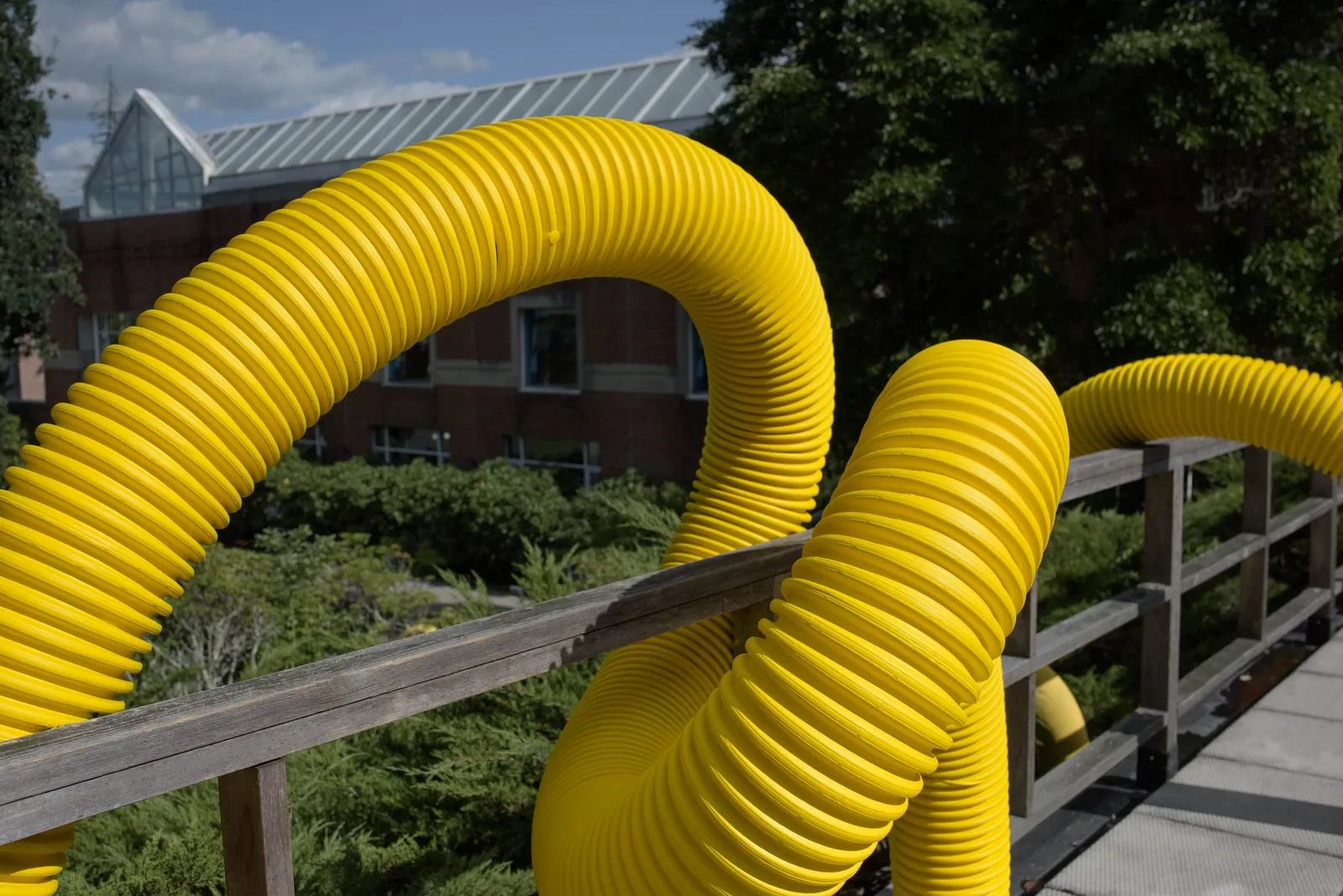 Continuous Line XI (yellow), Wheaton College, Norton, MA, view 2