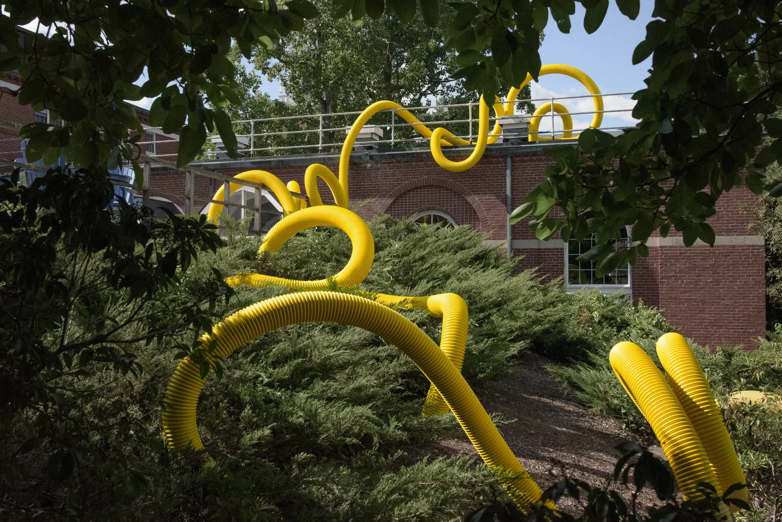 Continuous Line XI (yellow), Wheaton College, Norton, MA, view 3