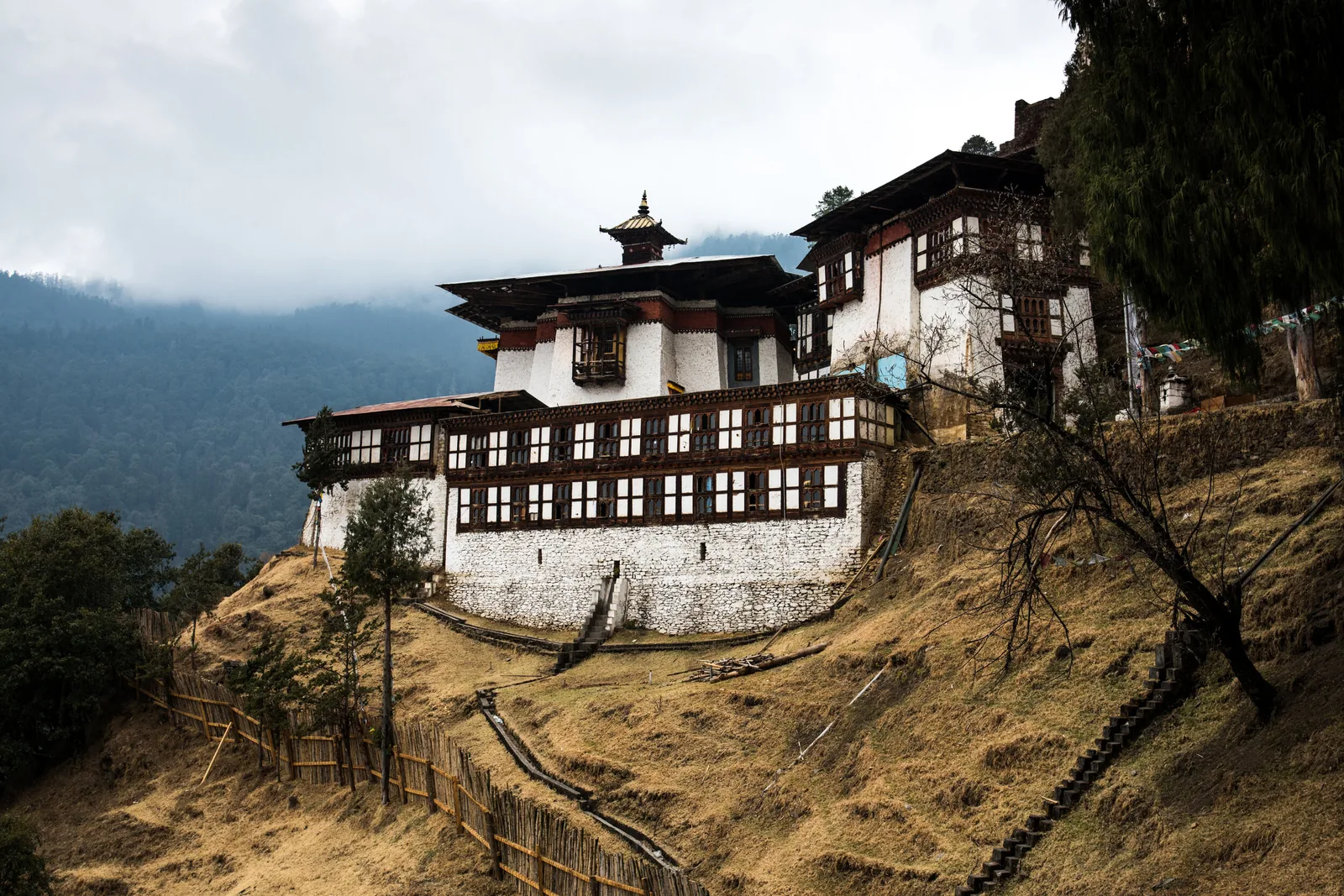 Bhutan, Thimphu, Bhutan, view 3