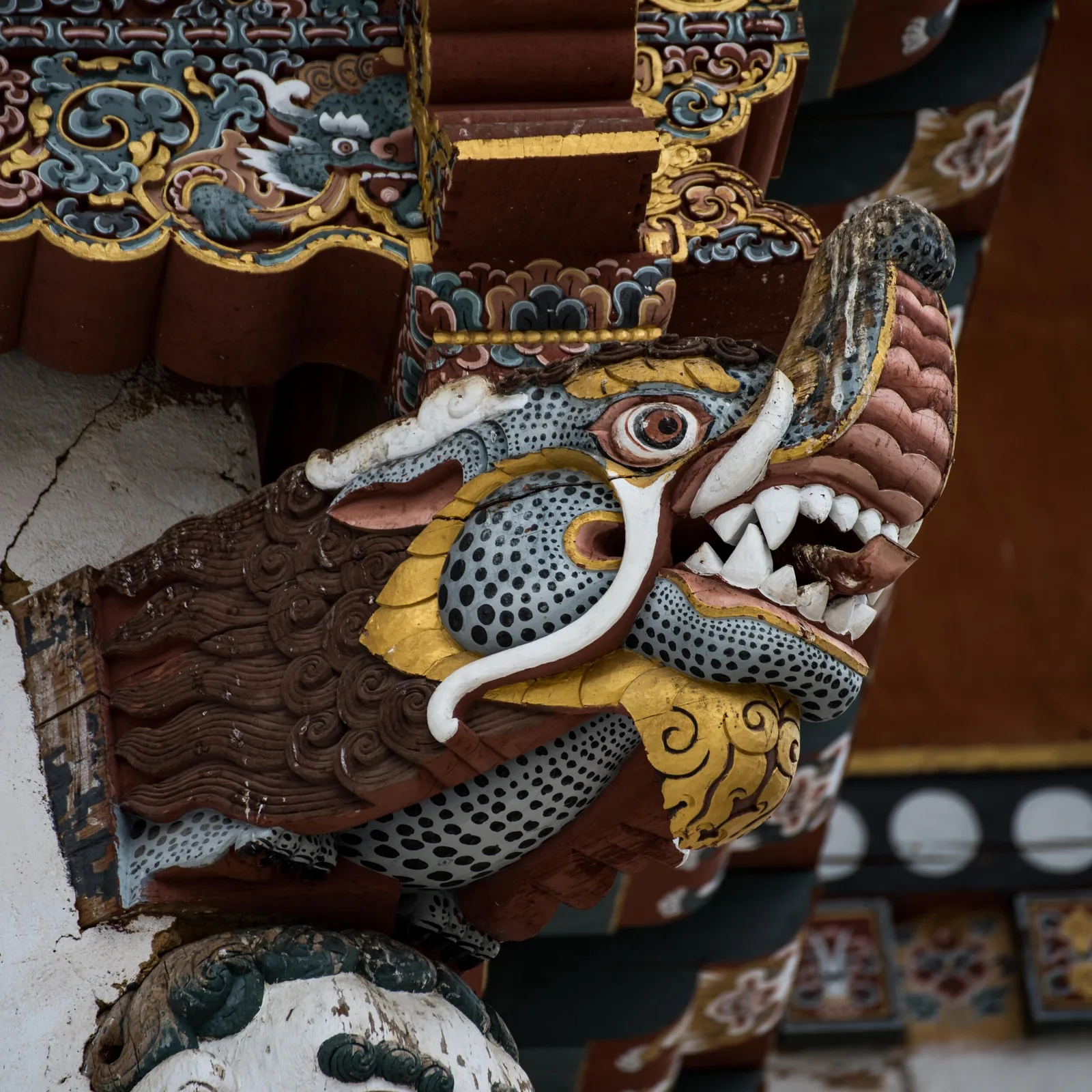 Bhutan, Thimphu, Bhutan, view 8