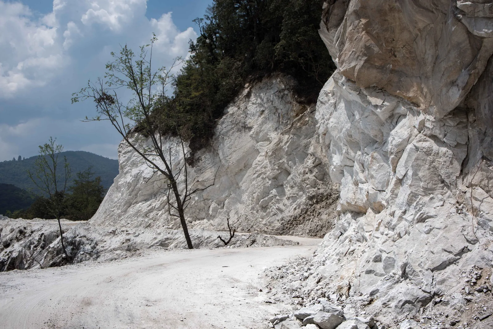 Bhutan, Thimphu, Bhutan, view 9