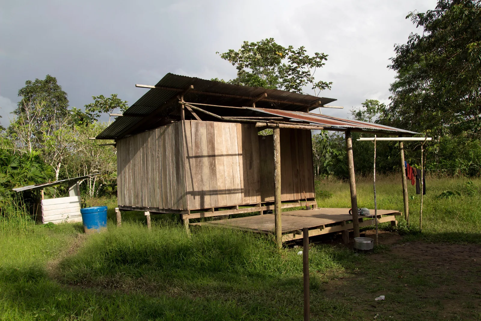 Ecuadorian Amazon, Shiripuno River and Yasuní, Ecuador, view 6
