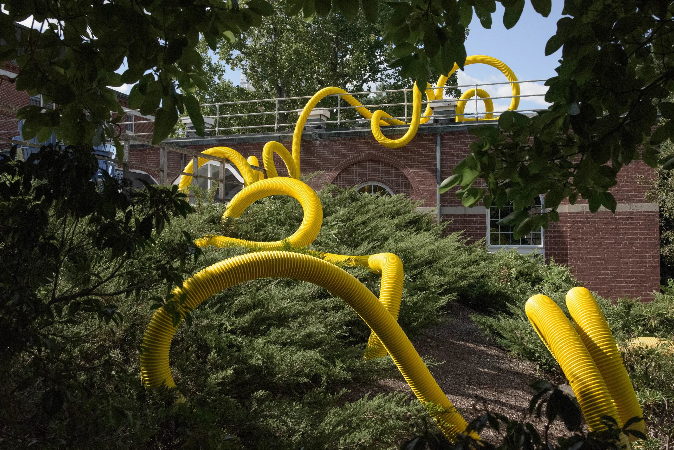 Continuous Line XI (Yellow) by Kelly Goff, Wheaton College, Norton, MA