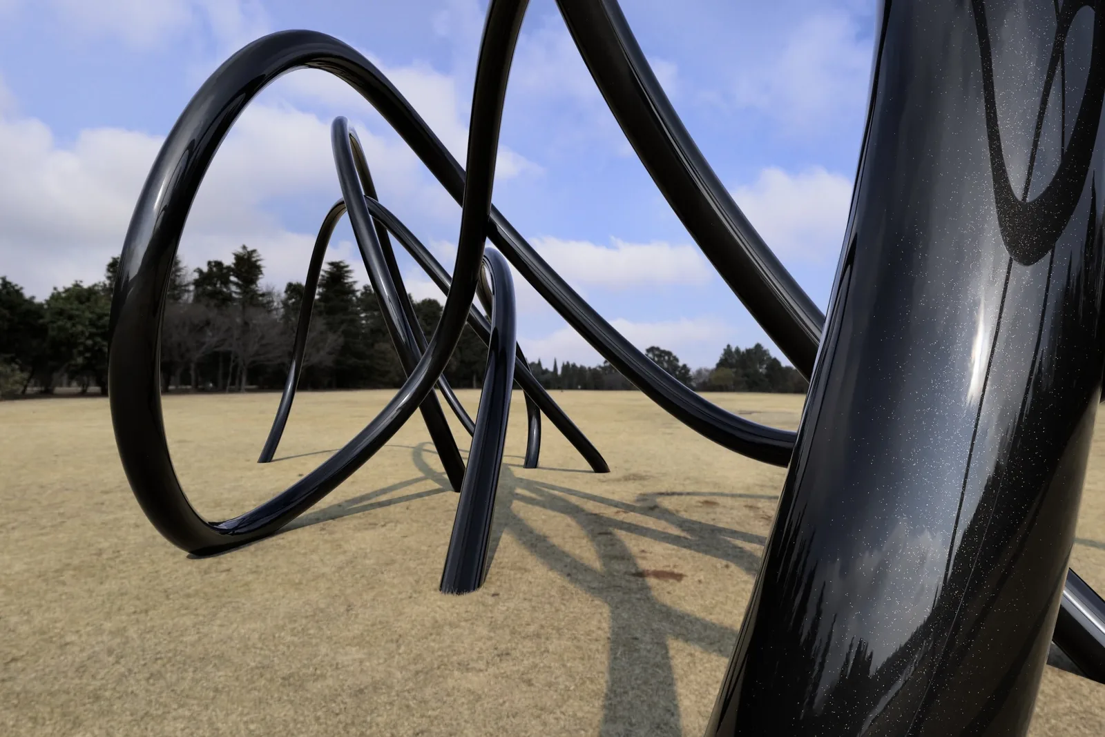 Rendering of black loops, close view, in an open field